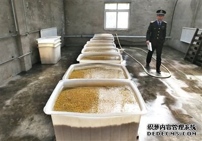 “基地”的豆芽車間內浸泡著大量黃豆，執法人員正在現場勘查。